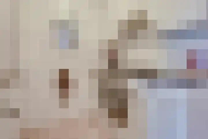 Meijer van Leeuwenstraat 57 Oss thumbnail 16