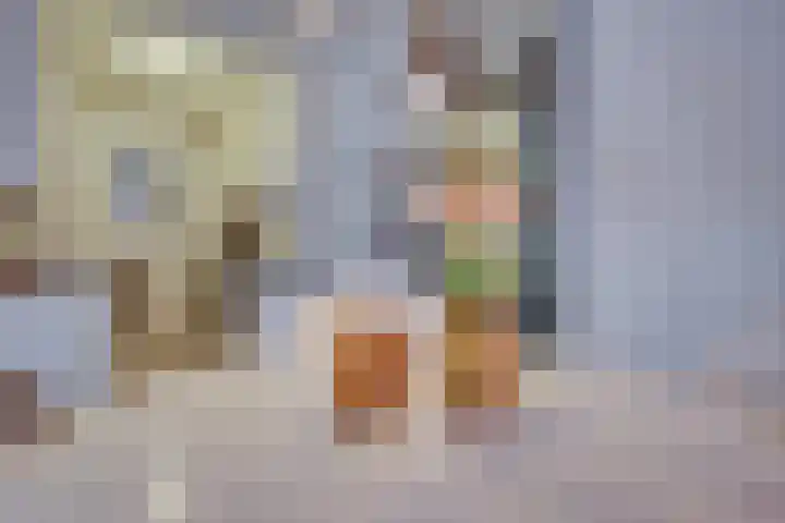 Meijer van Leeuwenstraat 57 Oss thumbnail 18