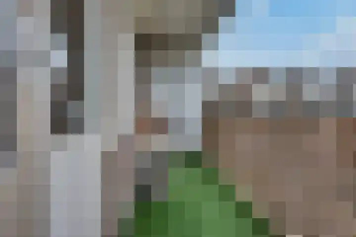 Meijer van Leeuwenstraat 57 Oss thumbnail 25