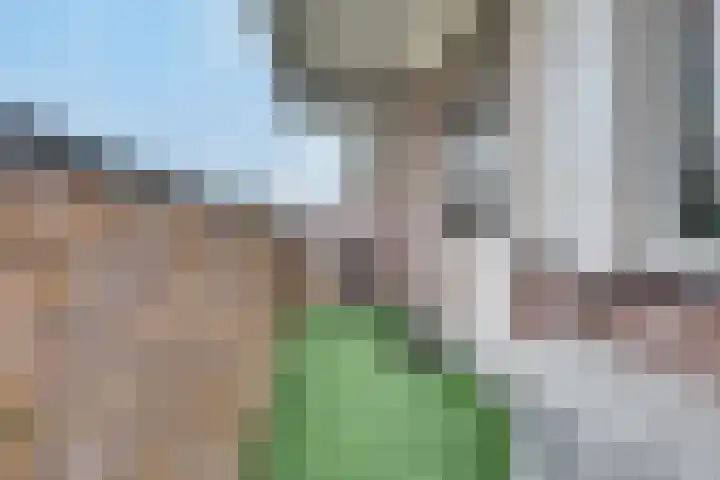 Meijer van Leeuwenstraat 57 Oss thumbnail 26