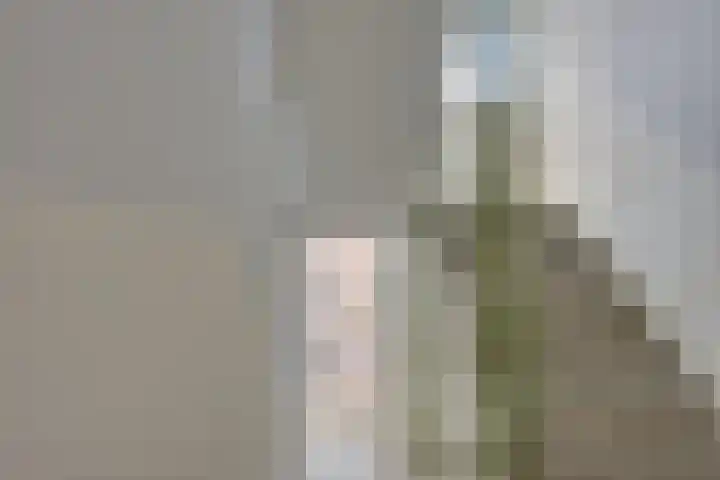 Meijer van Leeuwenstraat 57 Oss thumbnail 7