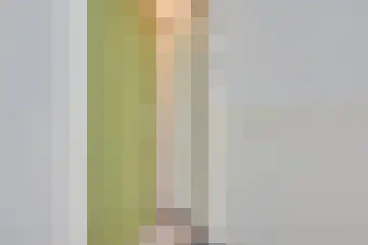 Meijer van Leeuwenstraat 57 Oss thumbnail 8