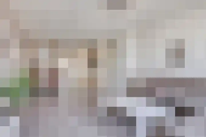 Meijer van Leeuwenstraat 59 Oss thumbnail 10