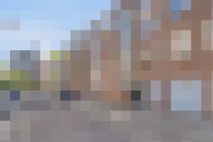 Meijer van Leeuwenstraat 59 Oss thumbnail 4