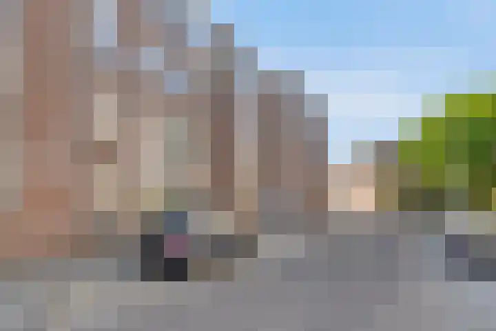 Meijer van Leeuwenstraat 59 Oss thumbnail 5