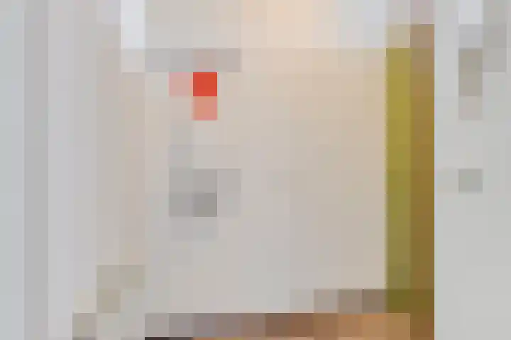 Meijer van Leeuwenstraat 59 Oss thumbnail 8