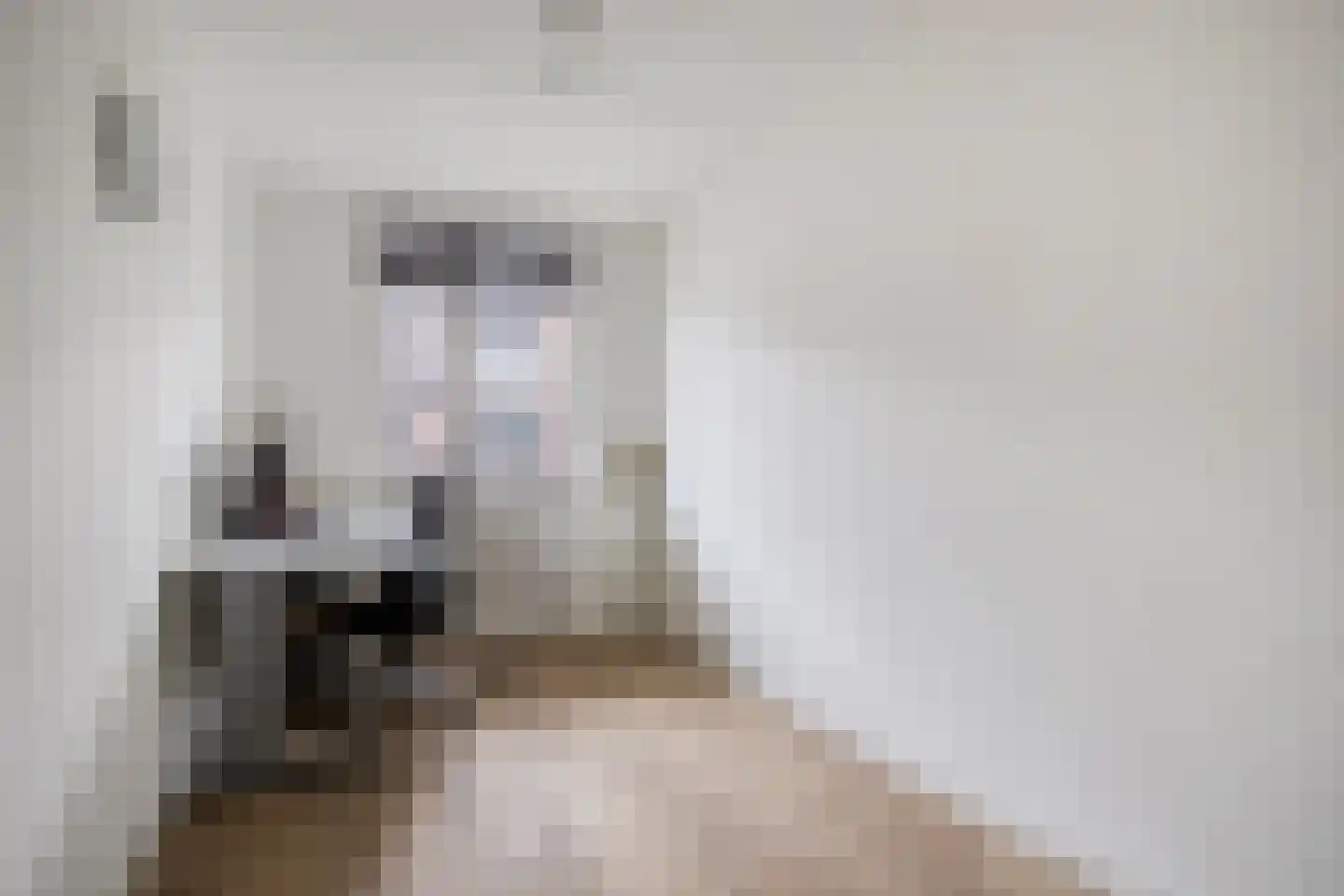 Meijer van Leeuwenstraat 6 Oss thumbnail 13