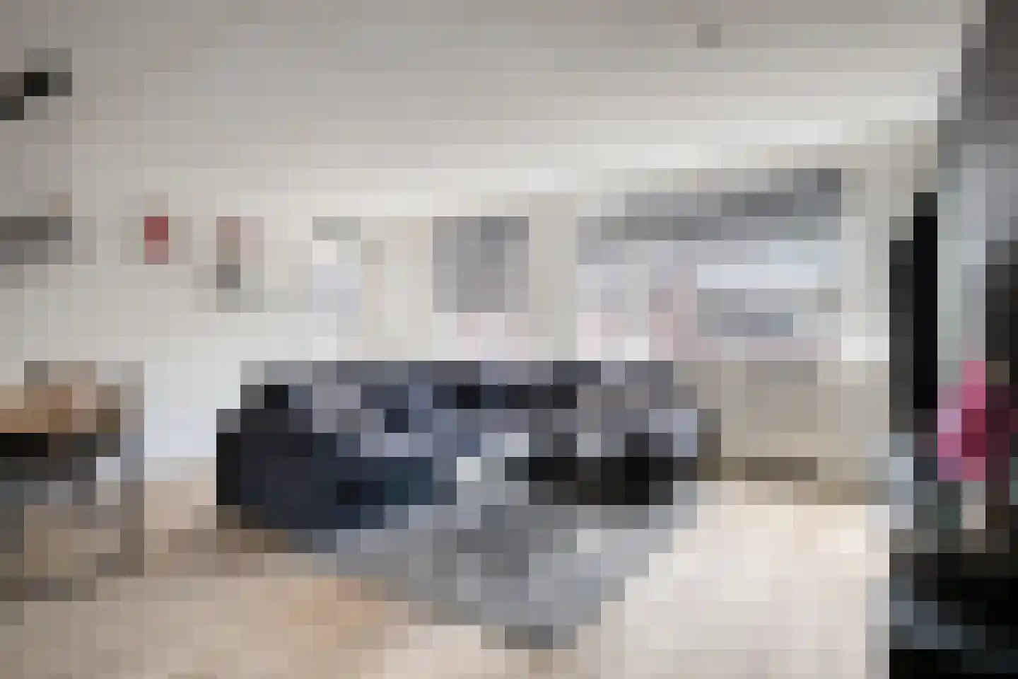 Meijer van Leeuwenstraat 6 Oss thumbnail 4