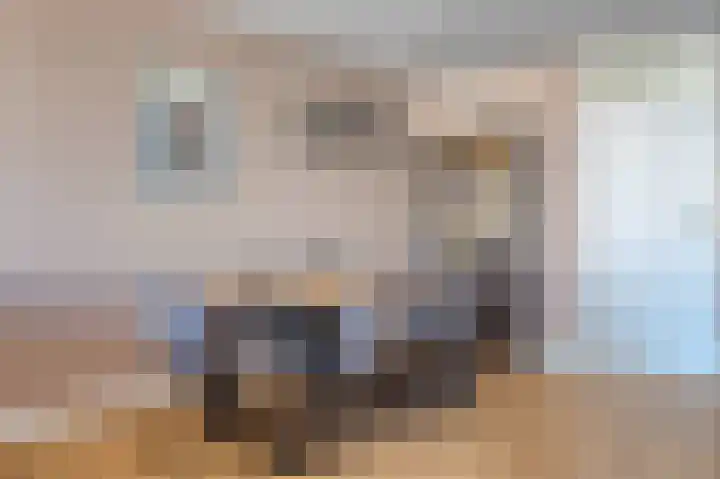 Meijer van Leeuwenstraat 77 Oss thumbnail 10