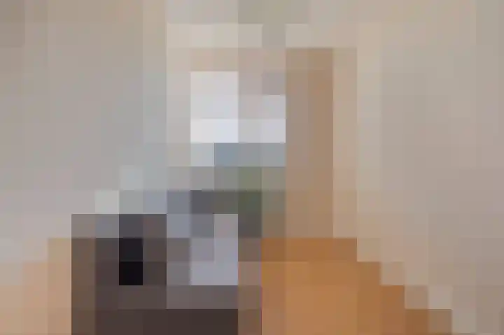 Meijer van Leeuwenstraat 77 Oss thumbnail 21