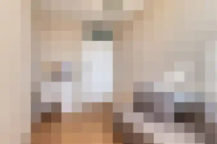 Meijer van Leeuwenstraat 77 Oss thumbnail 22