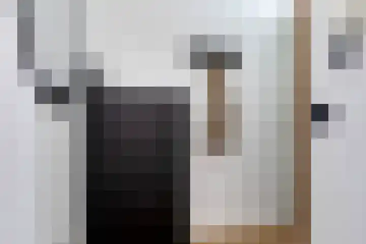 Meijer van Leeuwenstraat 77 Oss thumbnail 7