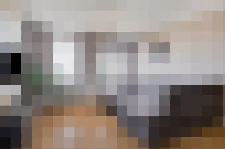 Meijer van Leeuwenstraat 77 Oss thumbnail 8