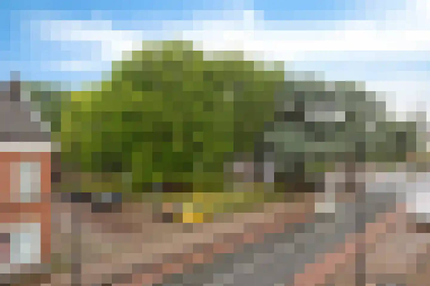 Meijer van Leeuwenstraat 9 Oss thumbnail 10