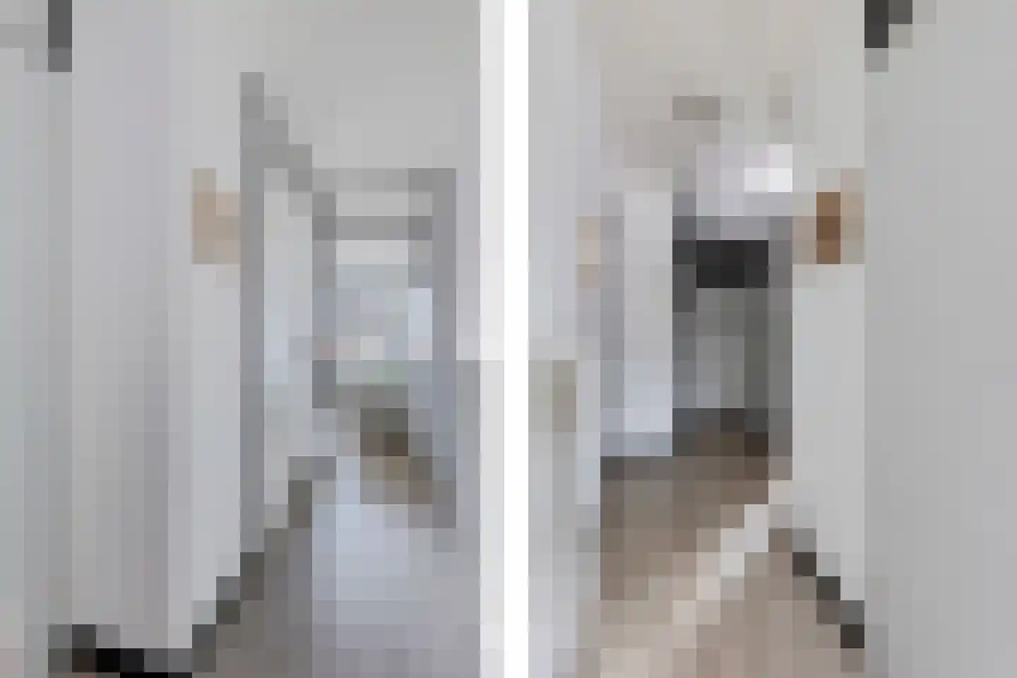 Meijer van Leeuwenstraat 9 Oss thumbnail 11