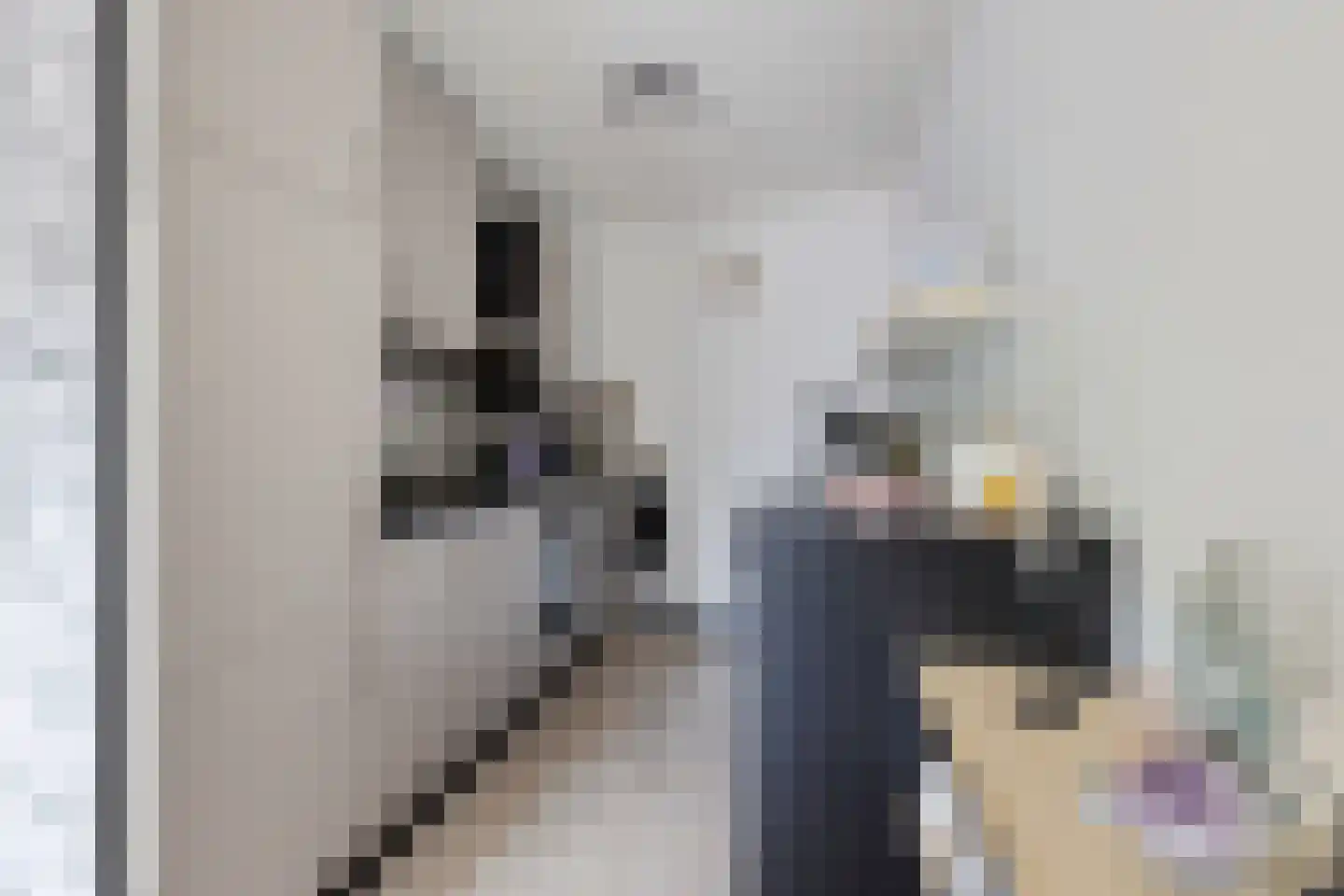 Meijer van Leeuwenstraat 9 Oss thumbnail 4