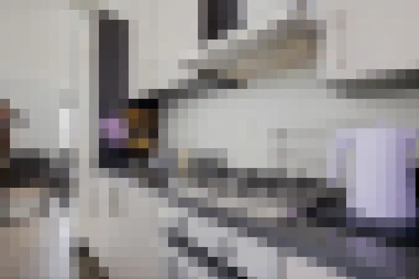 Meijer van Leeuwenstraat 9 Oss thumbnail 6