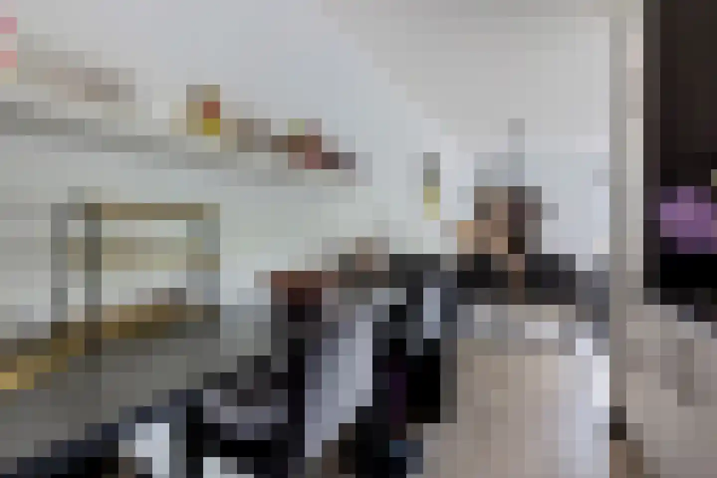 Meijer van Leeuwenstraat 9 Oss thumbnail 7