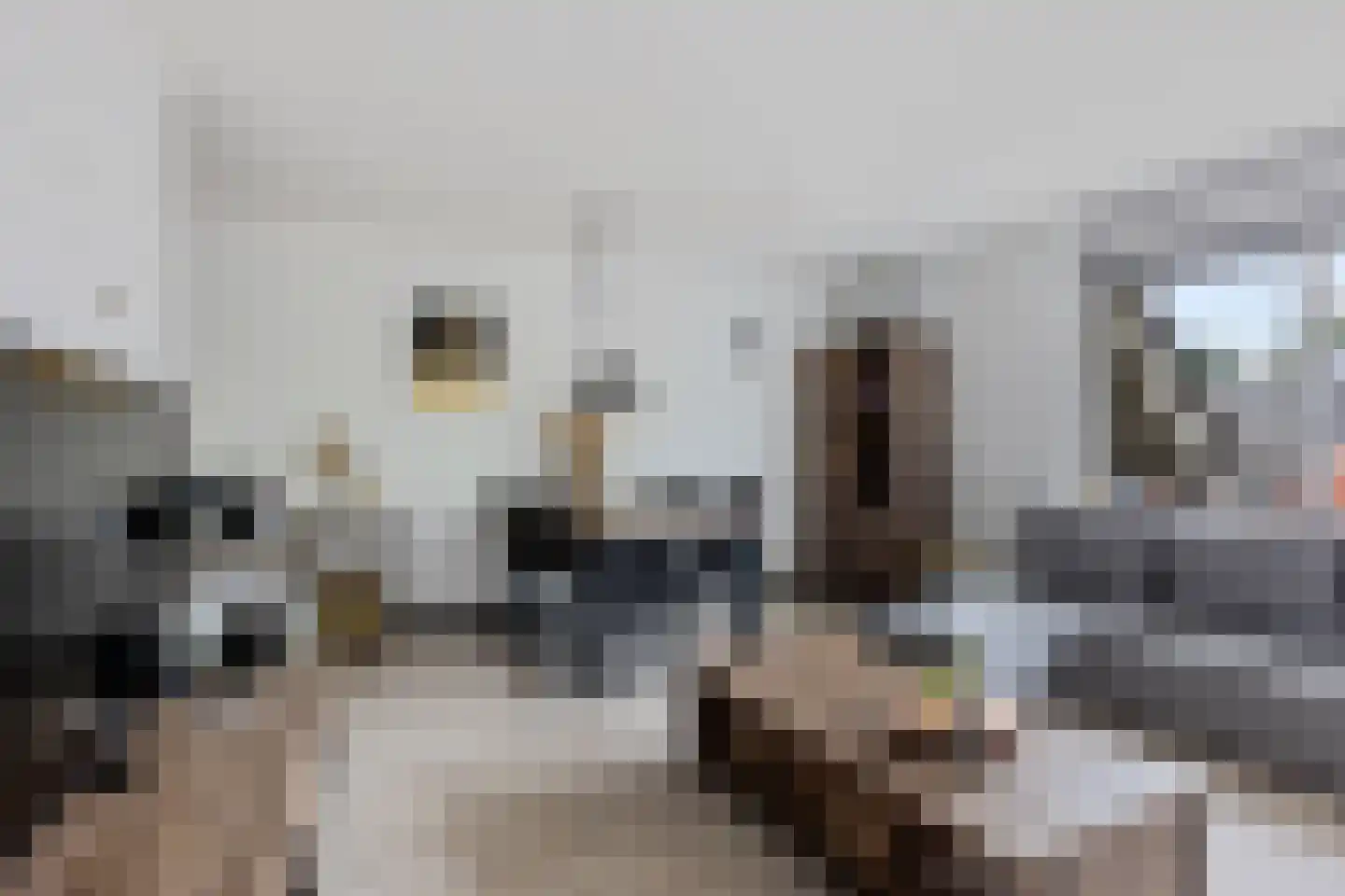 Meijer van Leeuwenstraat 9 Oss thumbnail 8