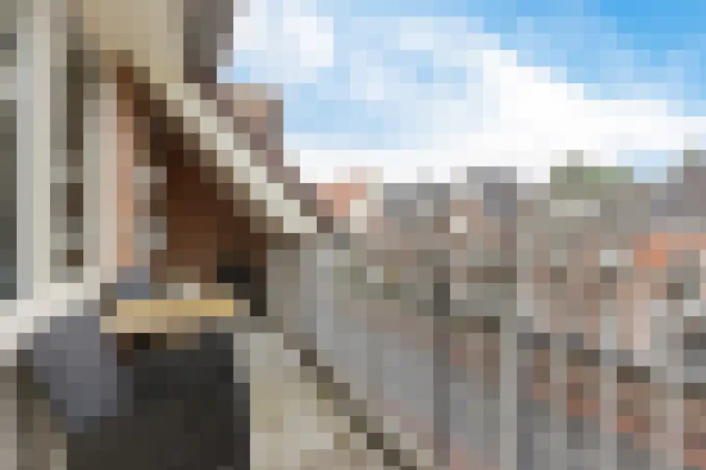 Meijer van Leeuwenstraat 9 Oss thumbnail 9