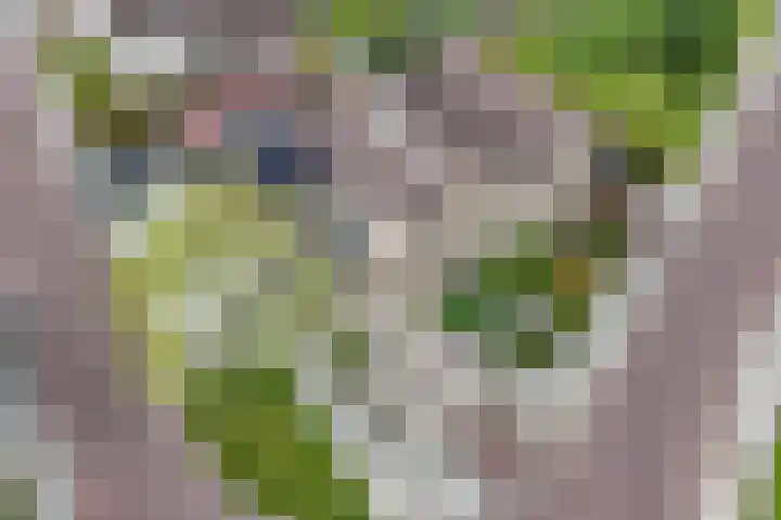 Meijerij 1 Emmeloord thumbnail 10