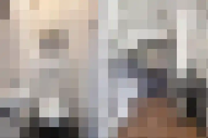 Meijerij 1 Emmeloord thumbnail 12