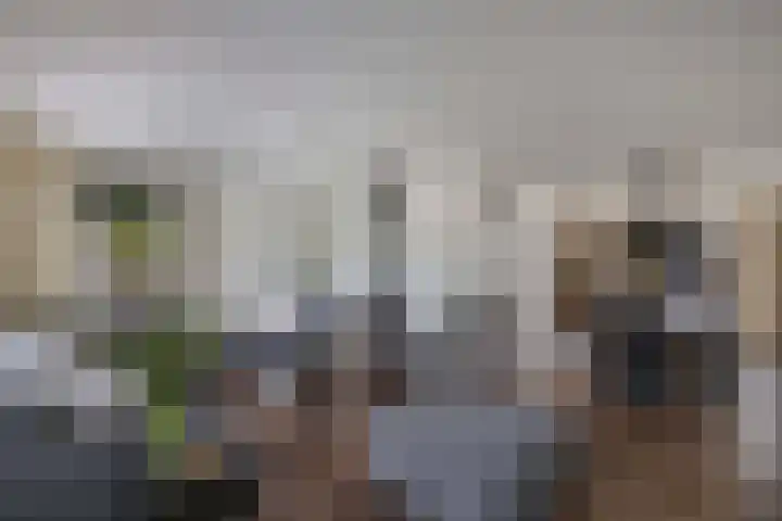 Meijerij 1 Emmeloord thumbnail 14