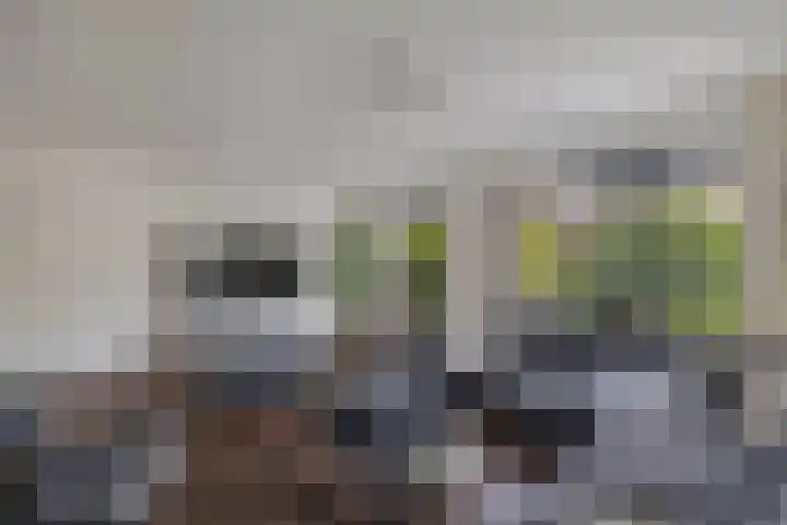 Meijerij 1 Emmeloord thumbnail 15