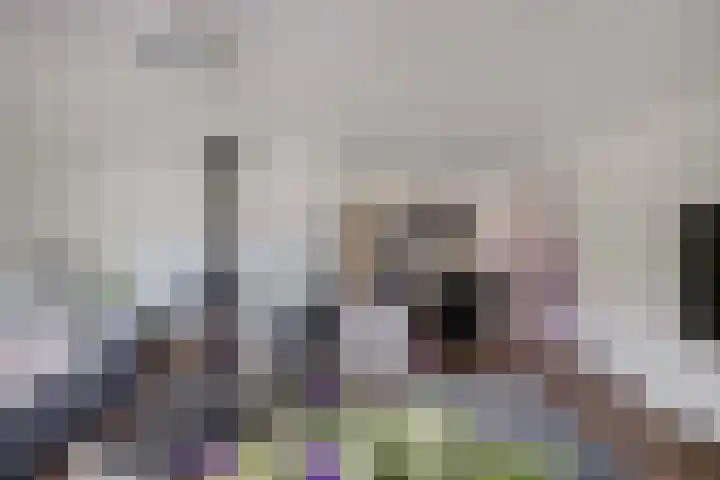 Meijerij 1 Emmeloord thumbnail 16