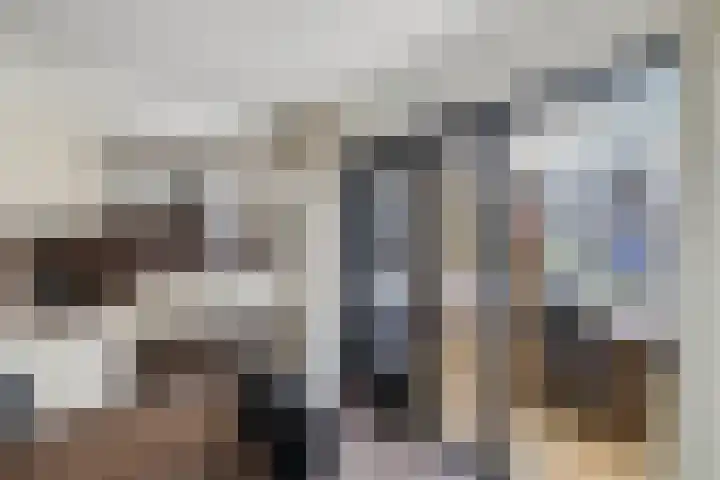 Meijerij 1 Emmeloord thumbnail 19