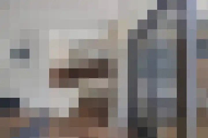 Meijerij 1 Emmeloord thumbnail 20