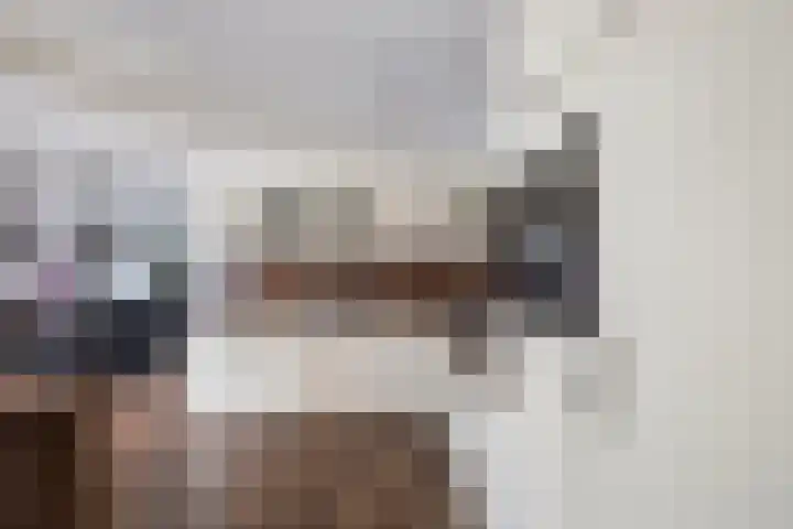 Meijerij 1 Emmeloord thumbnail 21
