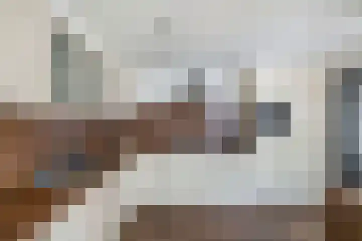Meijerij 1 Emmeloord thumbnail 22