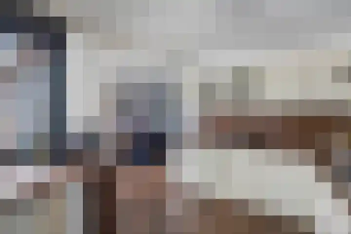 Meijerij 1 Emmeloord thumbnail 23