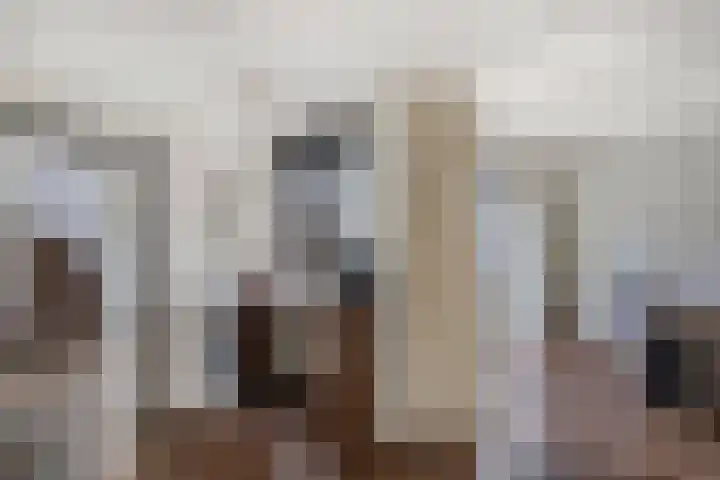 Meijerij 1 Emmeloord thumbnail 24