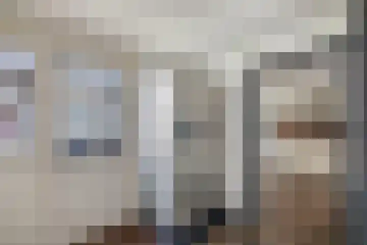 Meijerij 1 Emmeloord thumbnail 26
