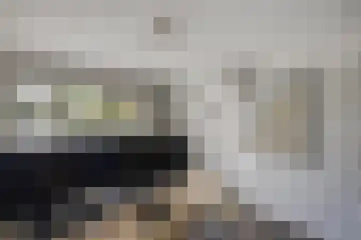Meijerij 1 Emmeloord thumbnail 29