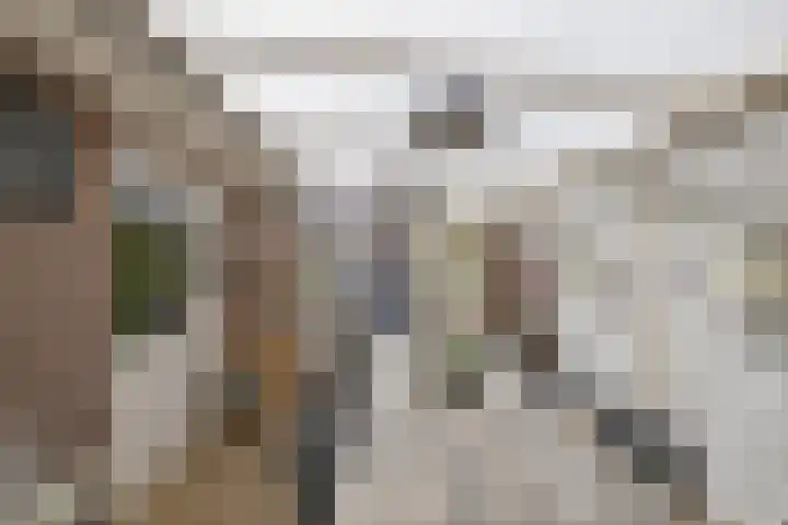 Meijerij 1 Emmeloord thumbnail 30