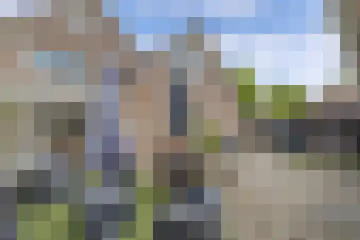 Meijerij 1 Emmeloord thumbnail 32