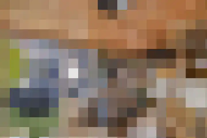 Meijerij 1 Emmeloord thumbnail 33