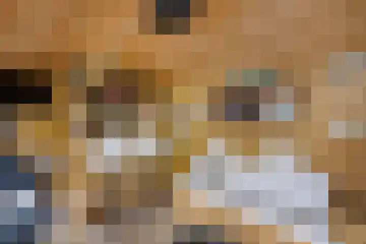 Meijerij 1 Emmeloord thumbnail 34