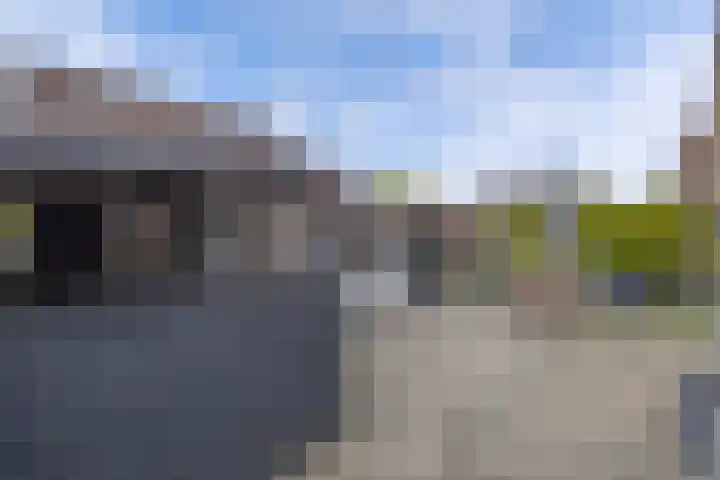 Meijerij 1 Emmeloord thumbnail 37