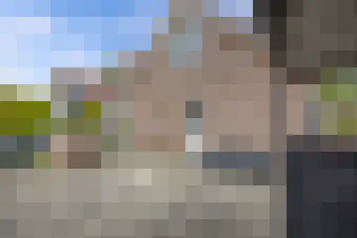 Meijerij 1 Emmeloord thumbnail 39