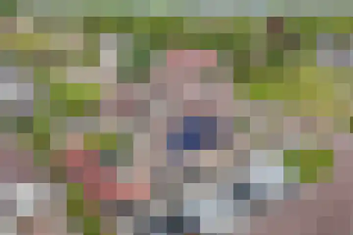 Meijerij 1 Emmeloord thumbnail 43