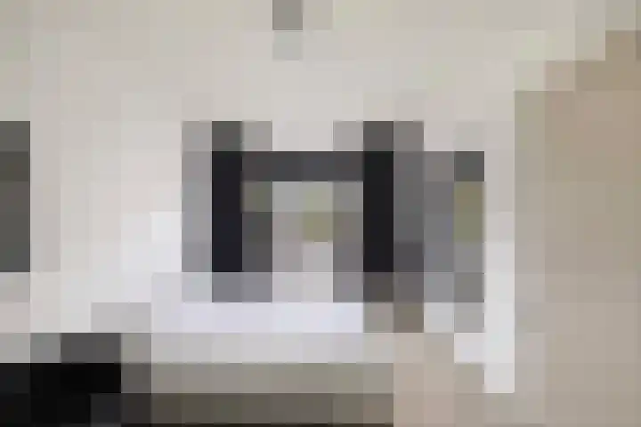 Meijerij 1 Emmeloord thumbnail 49