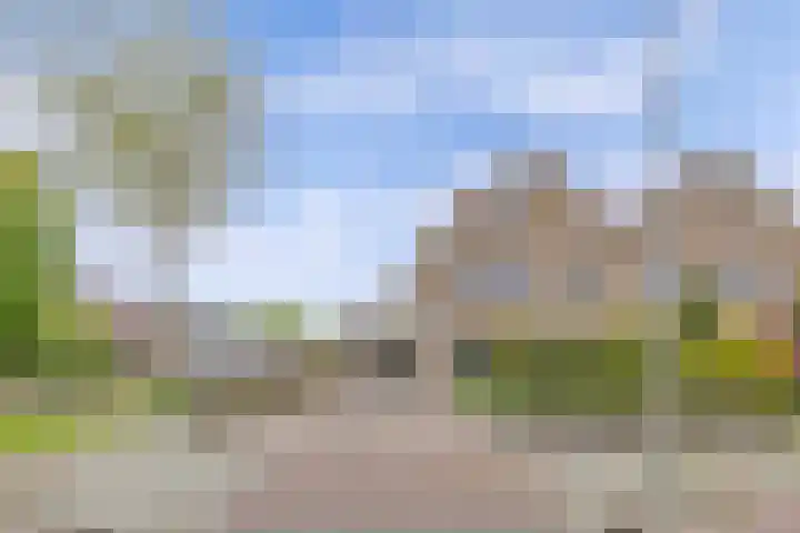 Meijerij 1 Emmeloord thumbnail 5