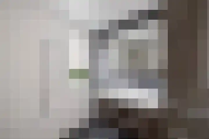 Meijerij 1 Emmeloord thumbnail 52