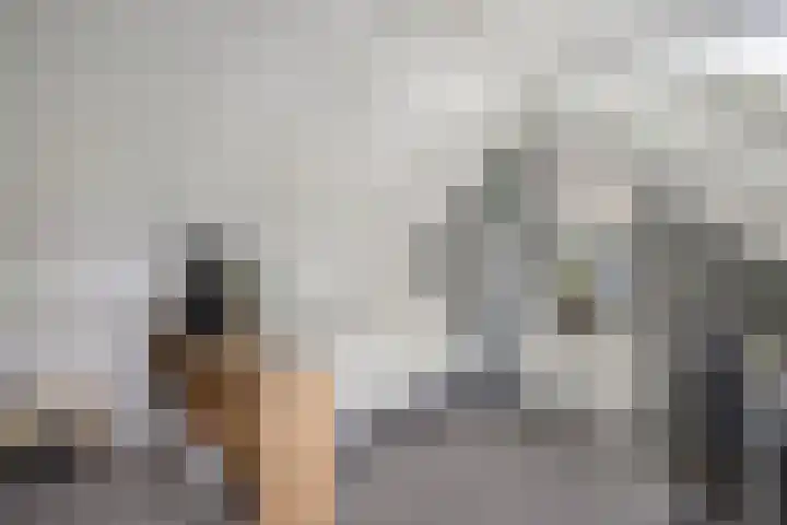 Meijerij 1 Emmeloord thumbnail 60