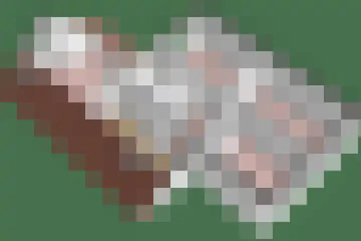 Meijerij 1 Emmeloord thumbnail 66