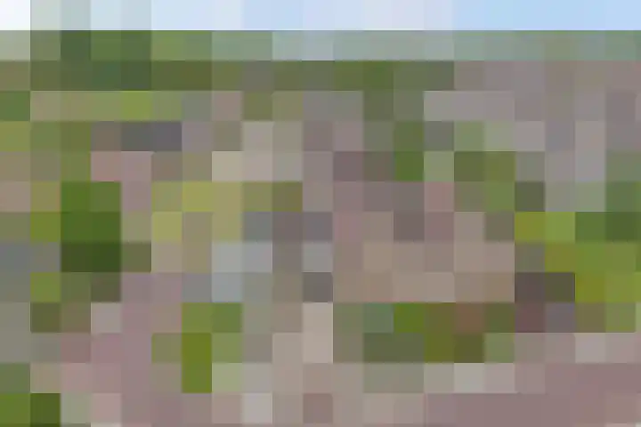 Meijerij 1 Emmeloord thumbnail 8